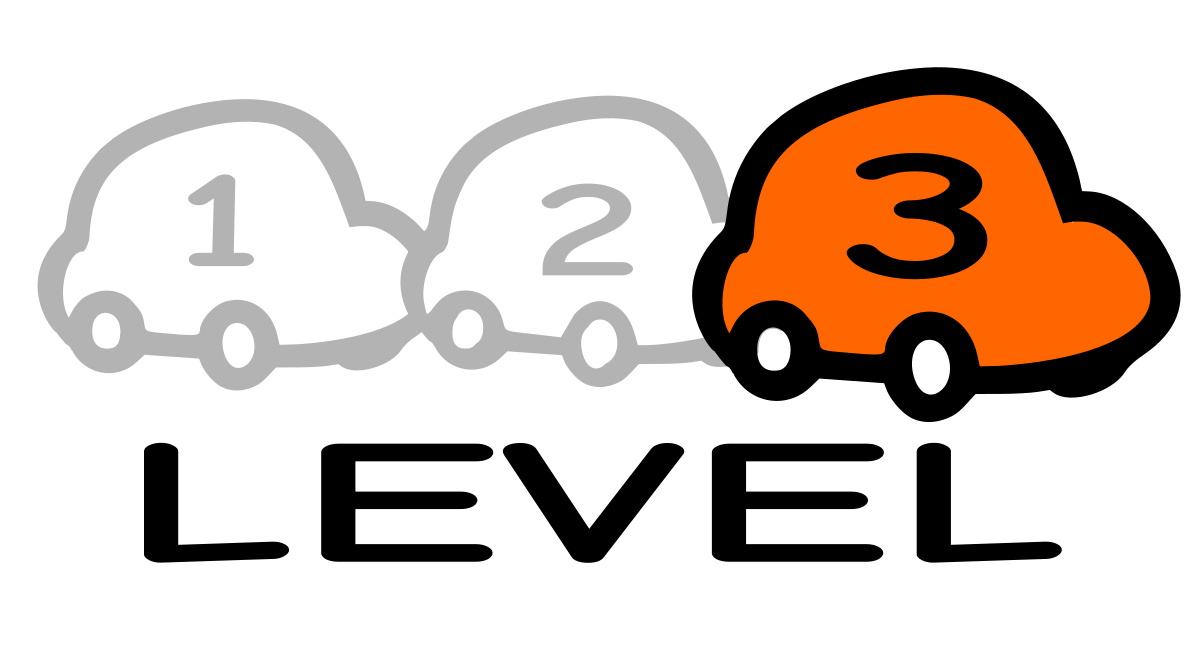 Level 3